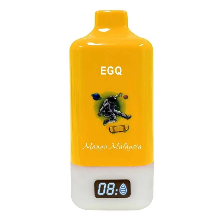 Chargeable Vape 15000 Puffs Electronic Cigarette Vape Pod