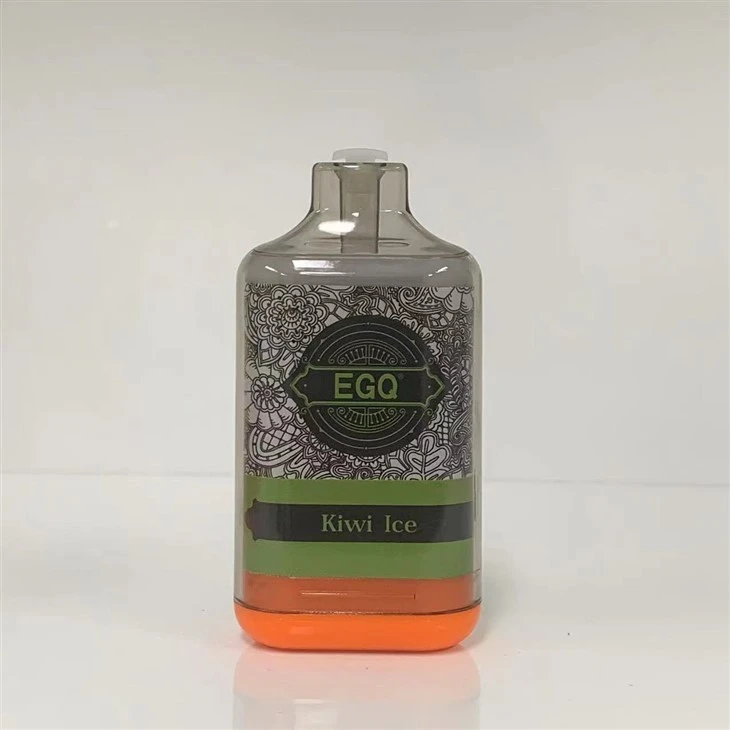 Electronic Cigarette 10000 Puffs Disposable Vape