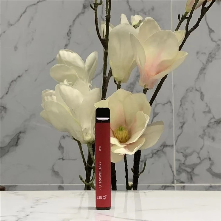 Disposable Vape E Cigs