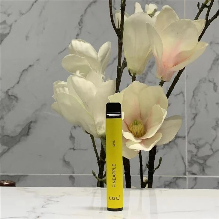 Disposable Vape E Cigs