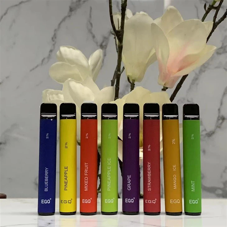 Hot 600 Puffs Disposable E Cig