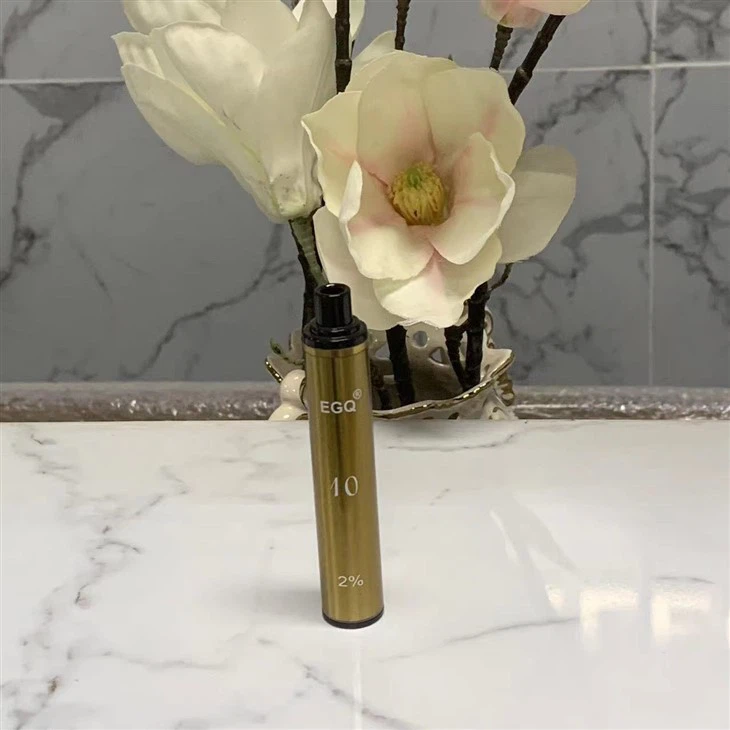 New Popular E Cig Disposable Vape Pen With 600 Puffs